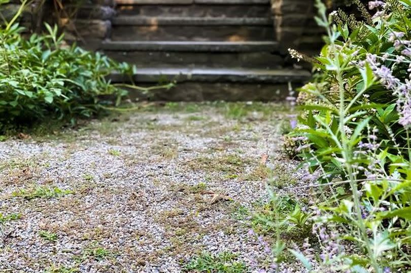 a gravel path & old slate steps in the garden