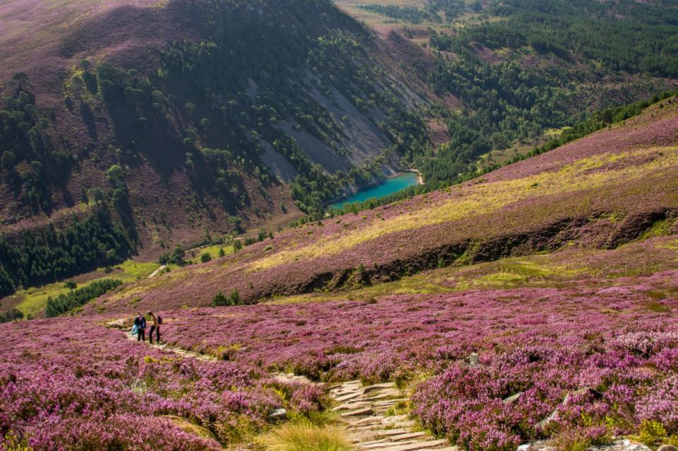 Explore Cairngorms National ParkGetty Images