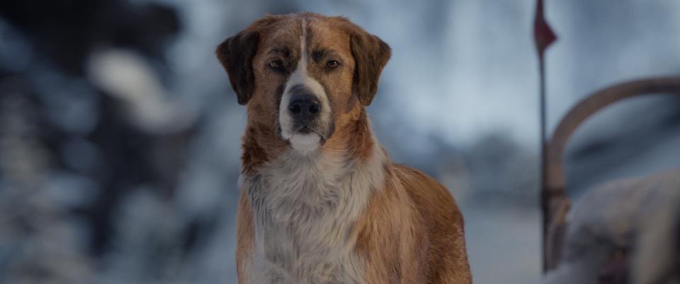 Chris Sanders' own dog wound up being the model for Buck. (Photo: Courtesy of Twentieth Century Fox and Disney)