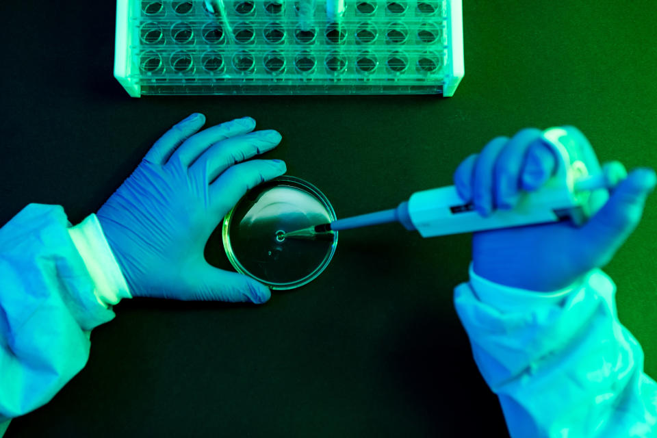 Aerial view of the hands of a scientist pouring fluid with the pipette into a petri dish in a laboratory with a green atmosphere.