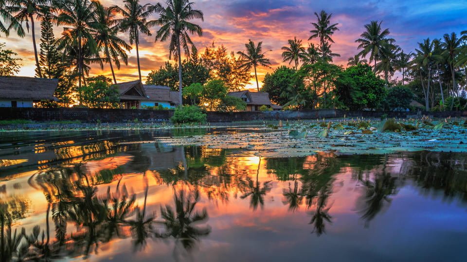 Reflection of palms trees on the lake.