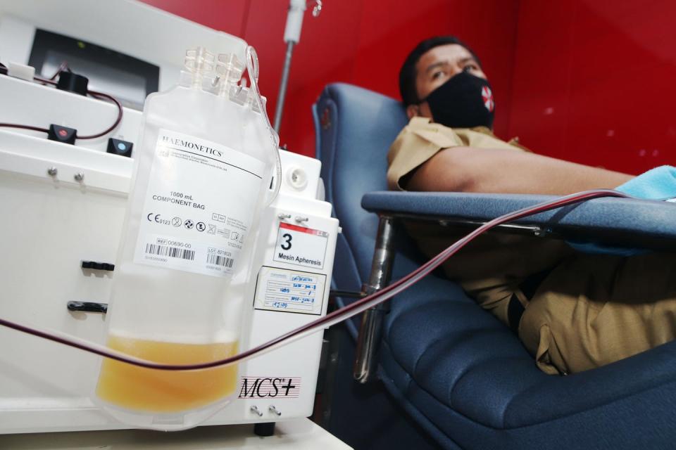 Una enfermera recolecta plasma de un paciente que se recuperó de la COVID-19 para facilitar la curación de otros pacientes con COVID-19 en Indonesia. Budiono/Sijori images/Barcroft Media vía Getty Images