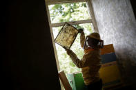 A member of the "Assemblea Cavallerizza 14:45" movement checks a honeycomb at the apiary of the Cavallerizza Reale building, which is occupied by the movement in Turin, Italy, July 22, 2016. REUTERS/Marco Bello