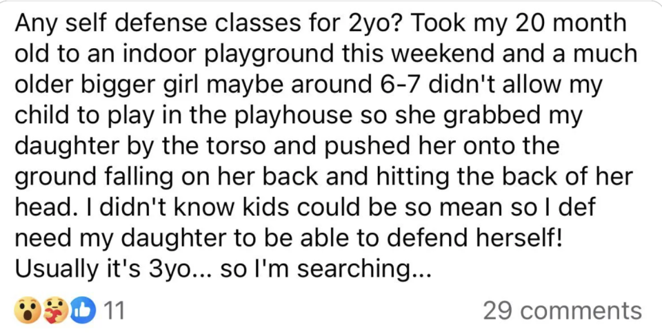 Text from a social media post expressing concern about a child's safety after an incident at a playground and considering self-defense classes for the 2-year-old child