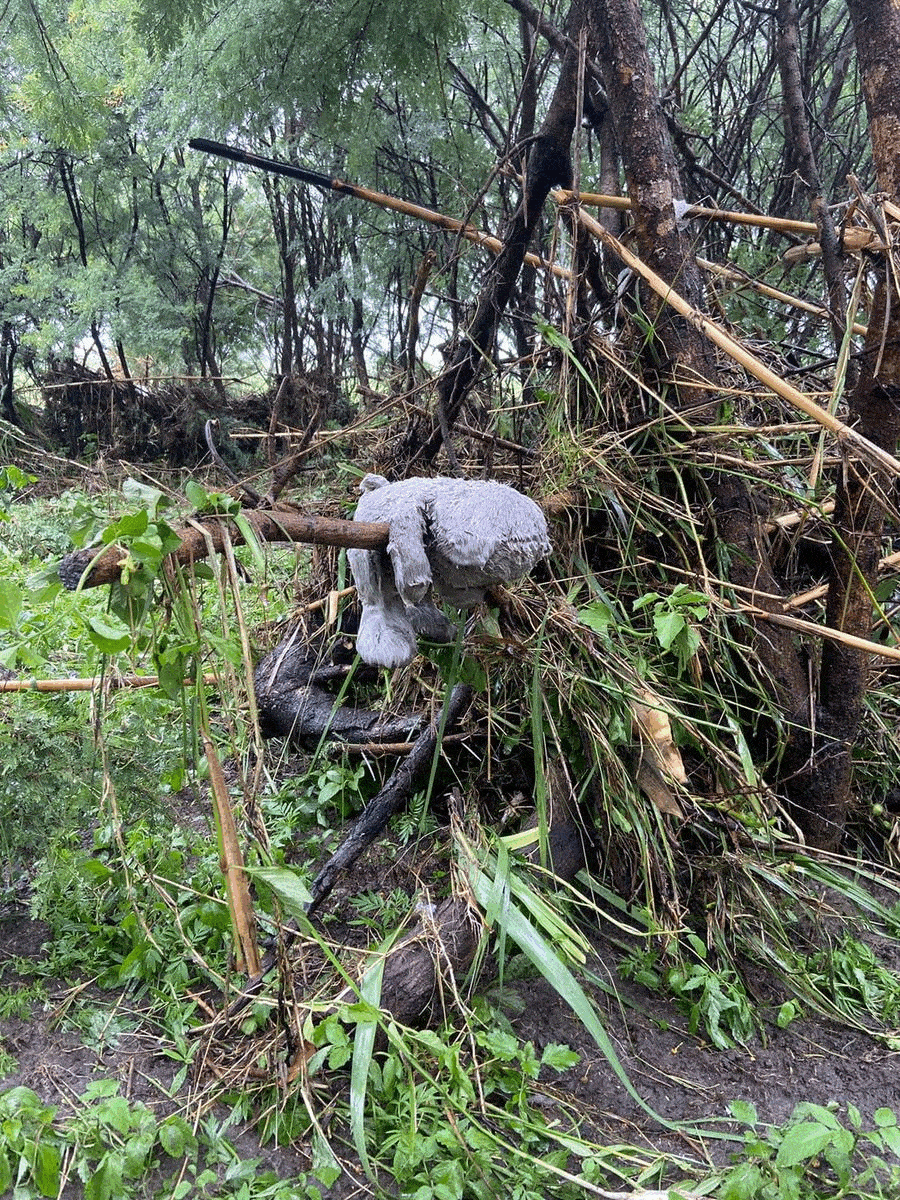 Toys, bedding and furniture are stuck in trees far from the homes they were washed away from.