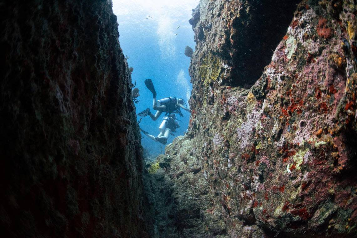 Students dive through the Chimneys, a swim through rock formation dive, on Tuesday, Aug. 2, 2022, at the Dogs Islands.