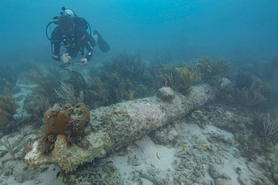 In this undated photo provided by the National Park Service, a park service diver documents one of five coral encrusted cannons found during recent archeological survey in Dry Tortugas National Park, Fla. National Park Service archeologists identified the archeological remains belonging to the HMS Tyger, an 18th century British warship. The Fourth-Rate, 50-gun frigate sunk in 1742 after it ran aground on the reefs of the Dry Tortugas while on patrol in the War of Jenkins Ear between Britain and Spain. While the remains of the historic shipwreck were first located in 1993, new research has uncovered definitive evidence. (Brett Seymour/National Park Service via AP)