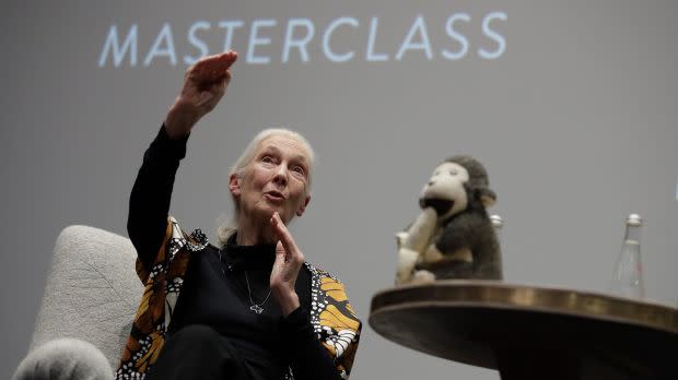 Dr. Jane Goodall speaks during the "Dr. Jane Goodall's MasterClass" New York screening at the Whitby Hotel on September 12, 2017 in New York City.