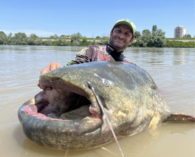 Fisherman lands world-record-size catfish that stretches over 9