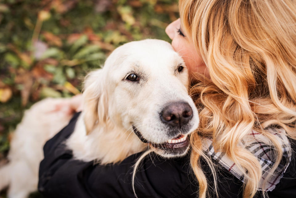 Tu mascota te agradecerá un paseo sin el estrés de los jalones/Getty Images.