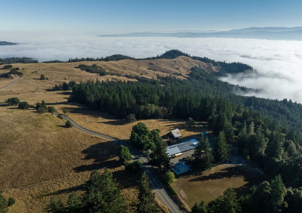 The tiny community of Kneeland is in Humboldt County, on a mountain.