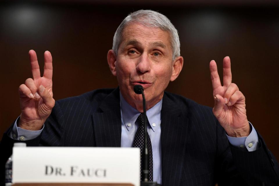 <p>Dr Anthony Fauci insisted he had ‘a great deal of confidence’ in UK regulators and their processes</p> (REUTERS)