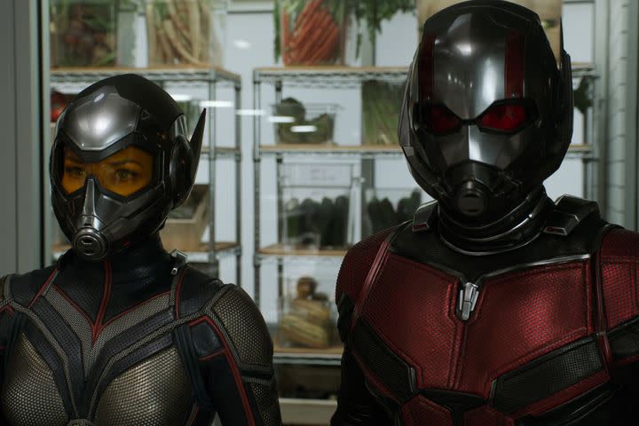 Ant-Man and The Wasp (Credit: Marvel)