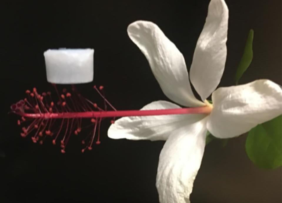 Aerogel: Scientists develop incredibly light, powerful insulation material