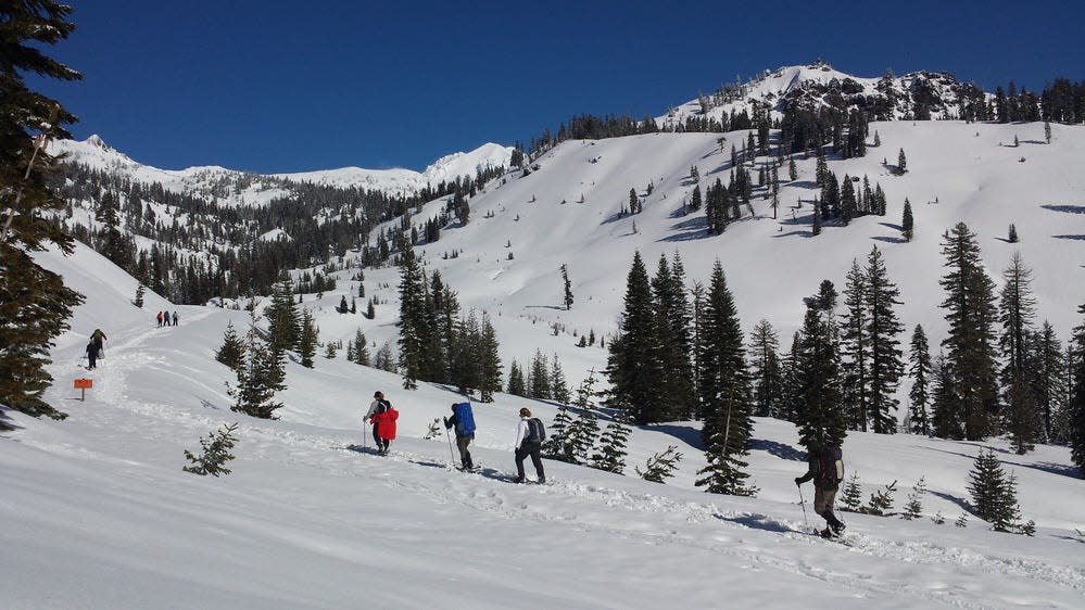 Snowshoers follow the park highway route at Lassen Volcanic National Park.