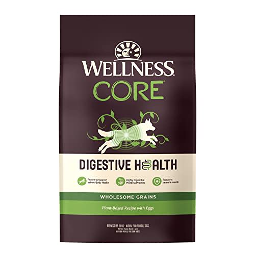 Wellness CORE Digestive Health Plant & Egg Based Dry Dog (Amazon / Amazon)