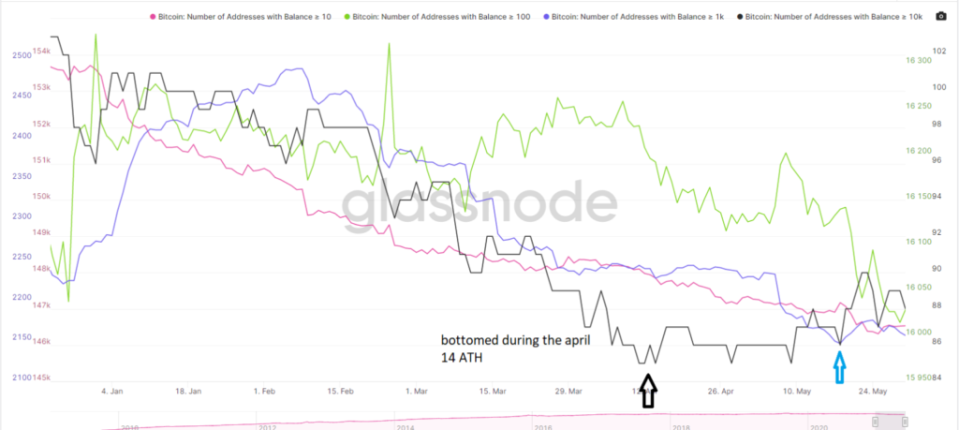 Bitcoin Adressen groß klein Verhalten Glassnode 2