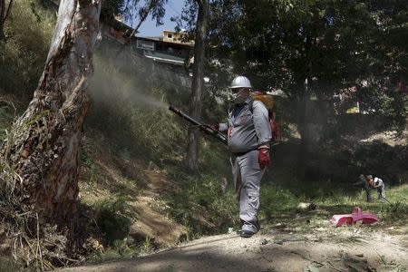 Venezuelan health worker fumigates the Valle slum to help control the spread of the mosquito-borne Zika virus in Caracas, January 28, 2016. REUTERS/Marco Bello