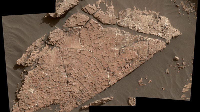 A rock slab called "Old Soaker," marked with cracks from mud that dried over 3 billion years ago.