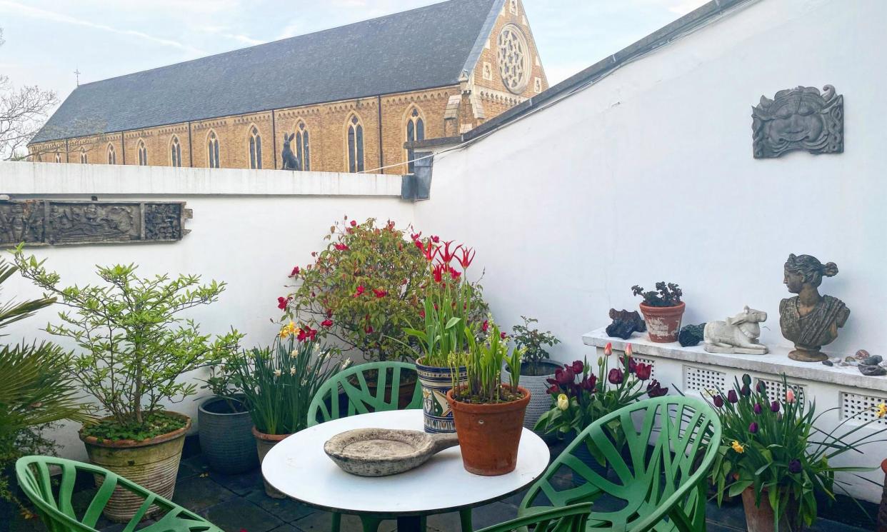 <span>Higher state: ‘Our roof terrace is awash with colour.’</span><span>Photograph: Allan Jenkins</span>