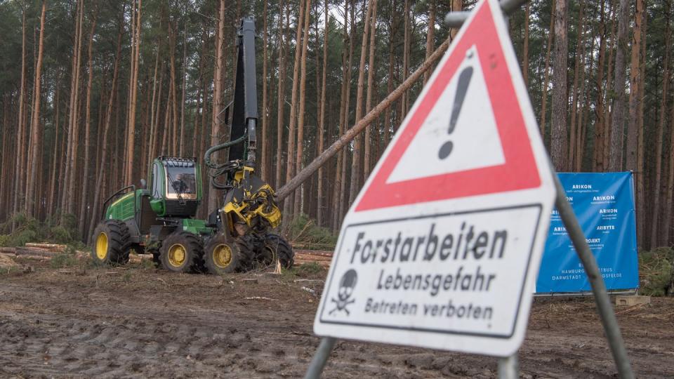 Der US-Elektroautobauer Tesla hat bereits damit begonnen, für sein neues Werk in Grünheide Wald roden zu lassen.