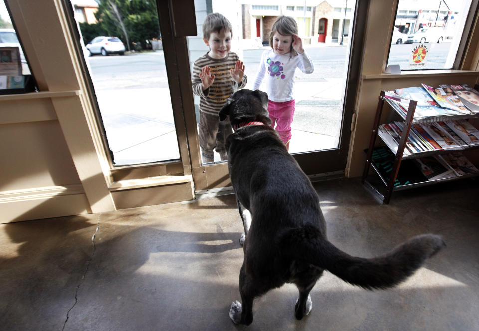 In this March 22, 2012 photo, Solomon, a Dalmatian-German shepherd mix estimated to be about 14 years old, wags his tail as he's greeted by passing children from the shop where his owner Lisa Black cuts hair, in Seattle. Black owns the Stardust Salon and Spa and Solomon goes to work with her every day to greet customers. “If they don't like him, it's not the place for them,” Black said. (AP Photo/Elaine Thompson)