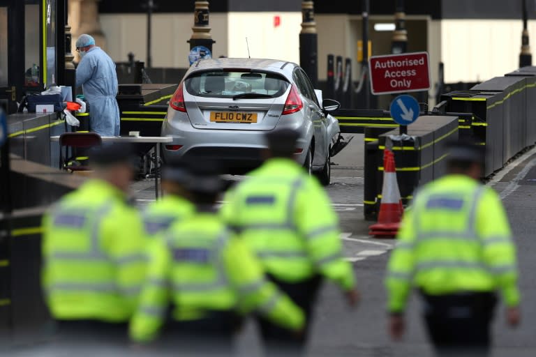 The man accused of crashing his car into the security barriers surrounding Britain's Houses of Parliament on August 14, 2018 (pictured), will appear in custody at Westminster Magistrates Court in London