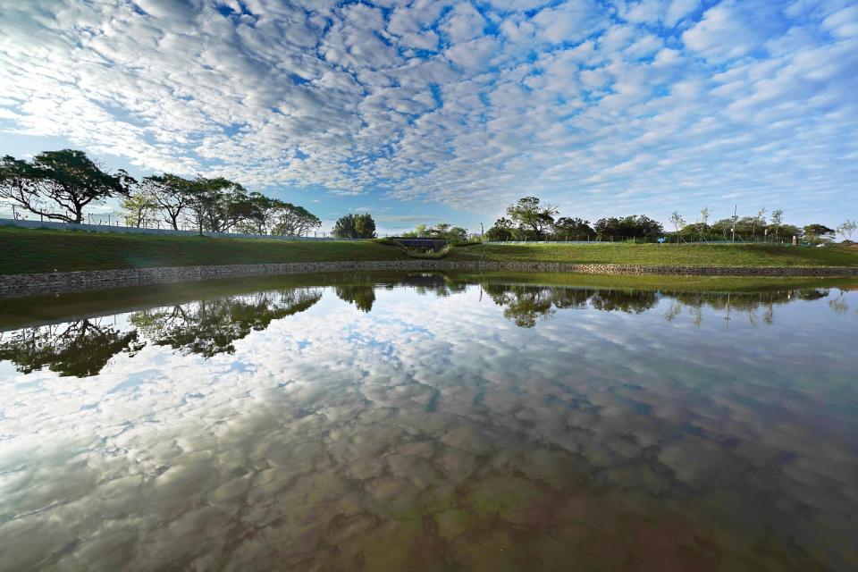 樹林河濱公園將進行整建   圖：新北市高灘處／提供