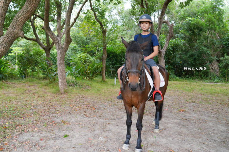 新竹尼普頓馬術創藝園區