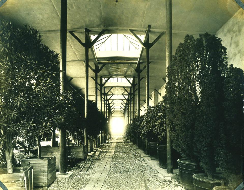 This undated photo shows the interior of the David Rockefeller Creative Arts Center when it was an orangery.