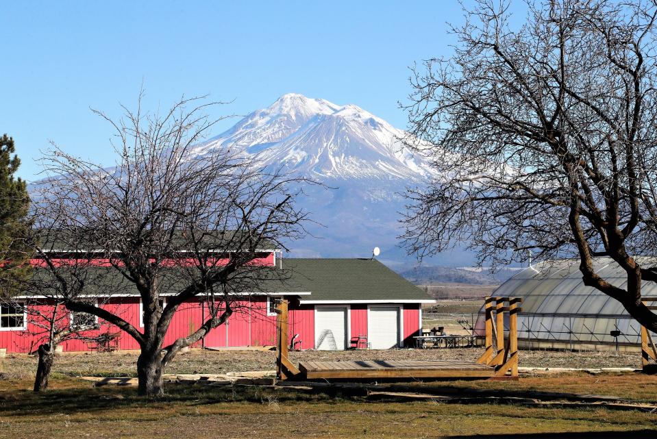 File photo - A snow-capped Mt. Shasta overlooks the ranching compound at Belcampo Farms in Gazelle in February 2022.