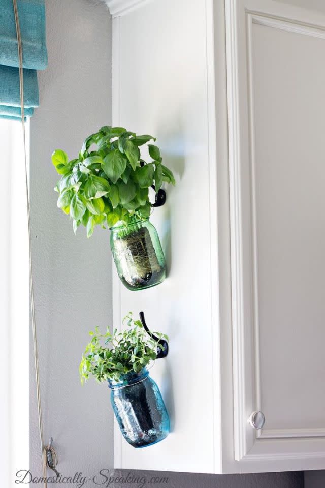 Hanging Herb Mason Jars