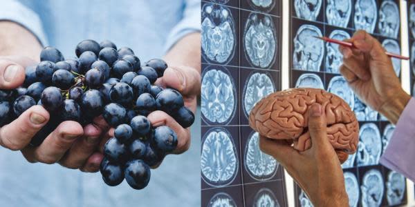 Estudio revela que comer uvas reduce el Alzheimer y aumenta la vida hasta por 5 años