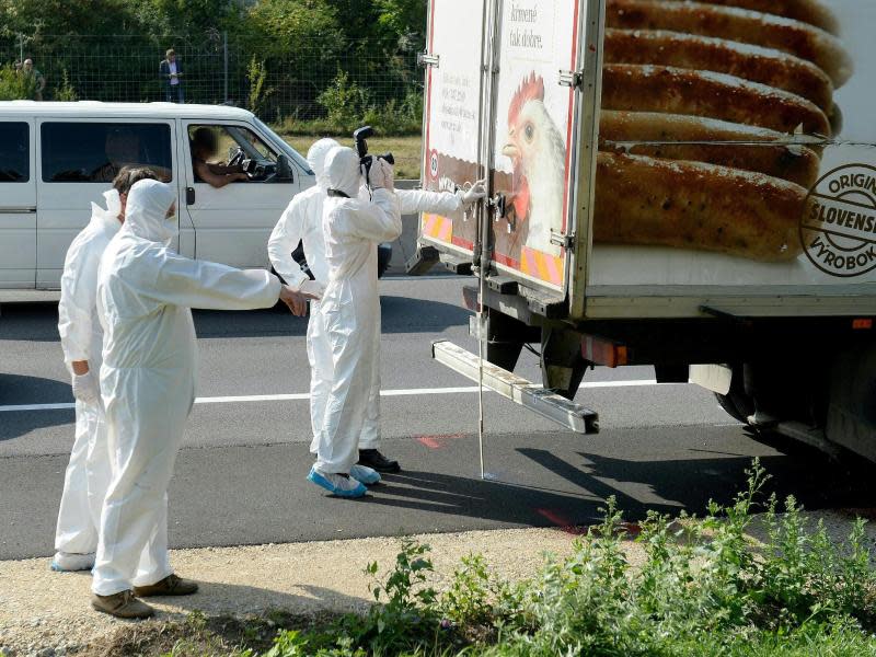 Das Fahrzeug soll nach Wiederverkäufen nach Ungarn geraten sein. Wobei die ursprüngliche Firmenreklame von den neuen Besitzern nicht entfernt worden sei. Foto: Roland Schlager