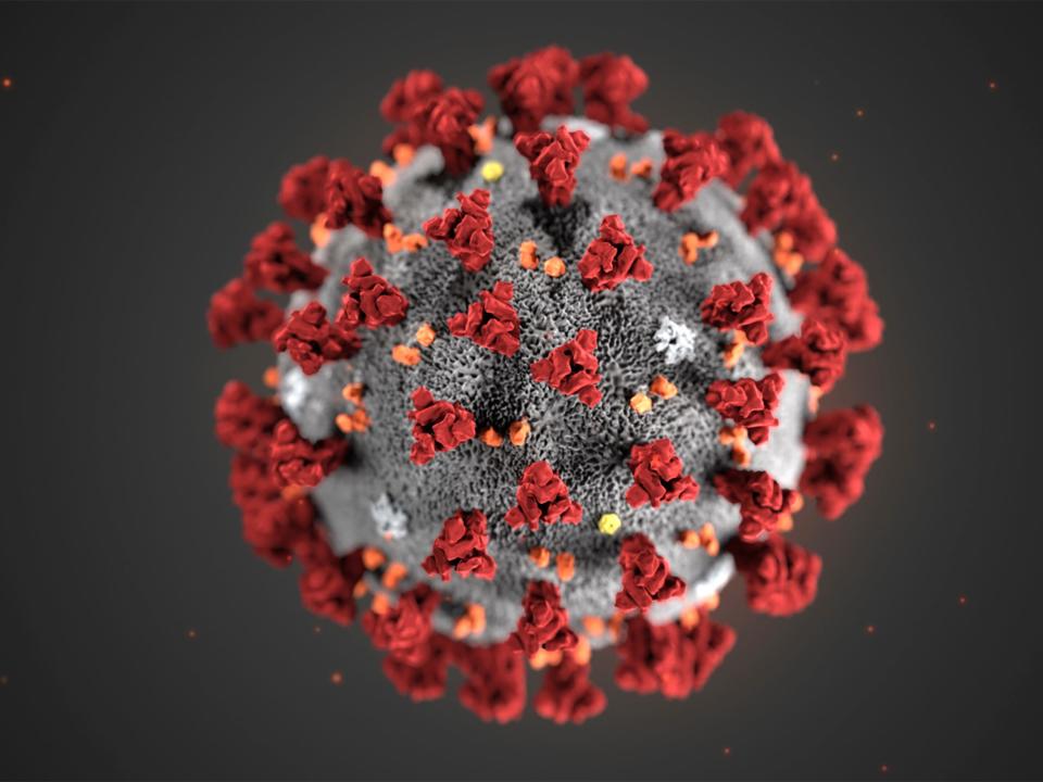 This illustration provided by the Centers for Disease Control and Prevention in January 2020 shows the 2019 Novel Coronavirus (2019-nCoV). This virus was identified as the cause of an outbreak of respiratory illness first detected in Wuhan, China. (CDC via AP)