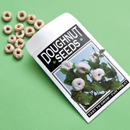 Plant Doughnut Seeds