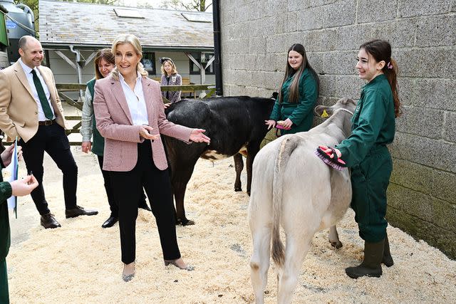 Tim Rooke/Shutterstock Sophie Duchess of Edinburgh