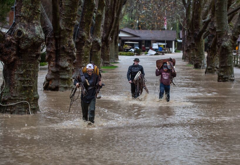 SOLVANG, CA - JANUARY 9: Record rains, brought on by a series of atmospheric river storms hit the Central Coast and Santa Barbara County, causing damage and flooding at the popular western-style Alisal Ranch & Resort, a favorite hideaway of Hollywood celebrities, as viewed on January 9, 2023, in Solvang, California. Nearly 12 inches of rain fell overnight in the mountains above, flooding the main entrance and damaging several cottages at this resort near the Santa Ynez River along the Alisal Creek. All employees and guests were evacuated and roads in and out of the resort are now closed. (Photo by George Rose/Getty Images)