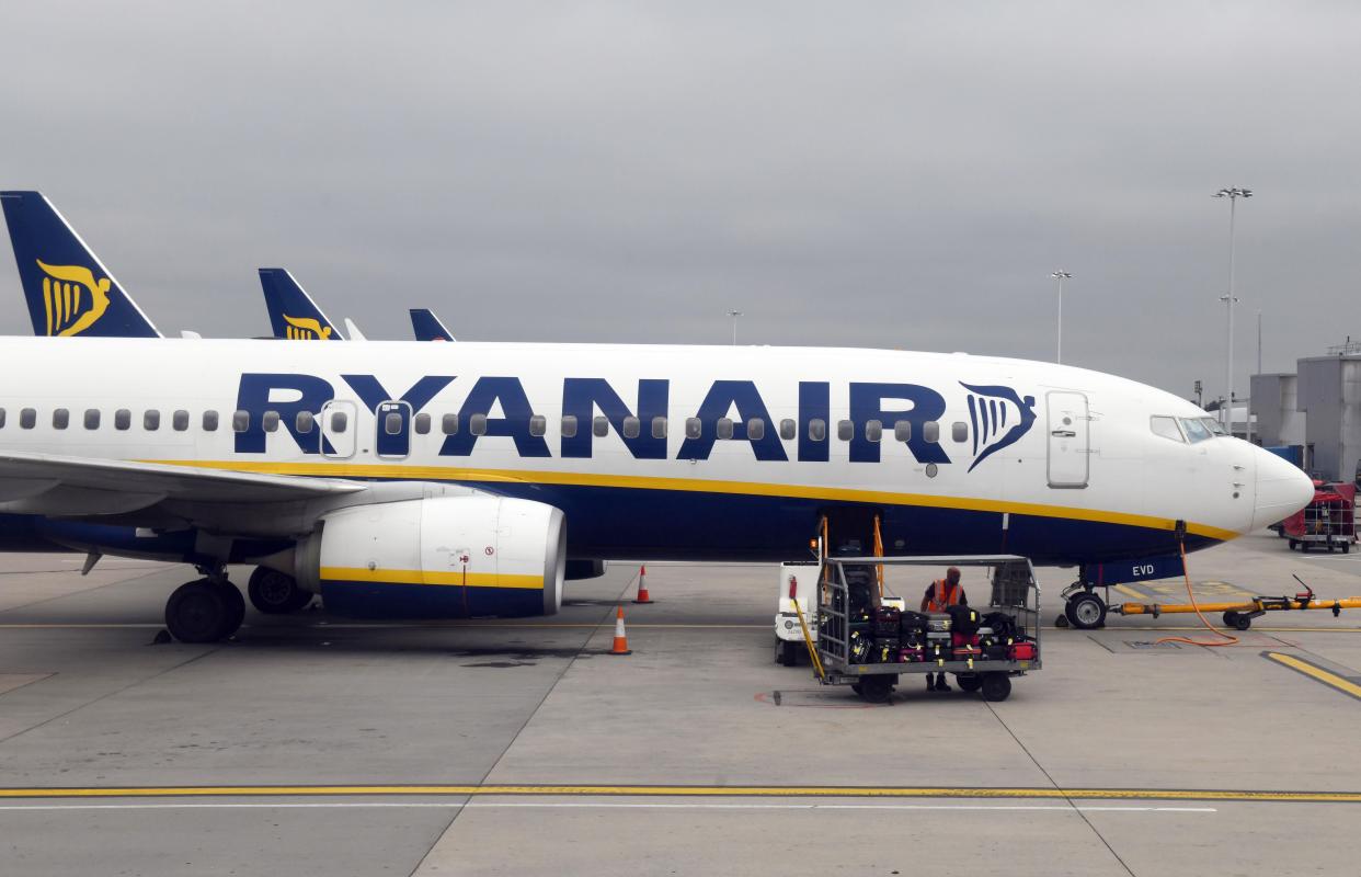 Ryanair said it would charge passengers £8 for cabin luggage (Rex)