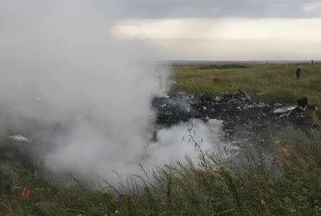 The site of a Malaysia Airlines Boeing 777 plane crash is seen near the settlement of Grabovo in the Donetsk region, July 17, 2014. REUTERS/Maxim Zmeyev