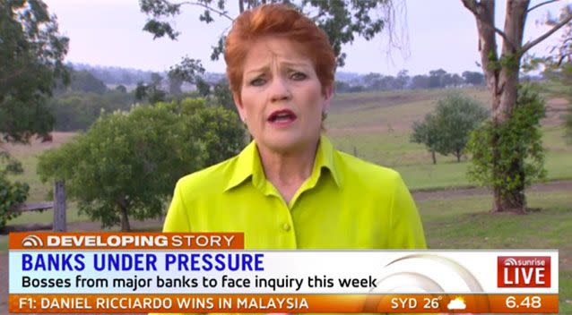 Hanson appeared on Sunrise to discuss public holidays. Source: 7 News.