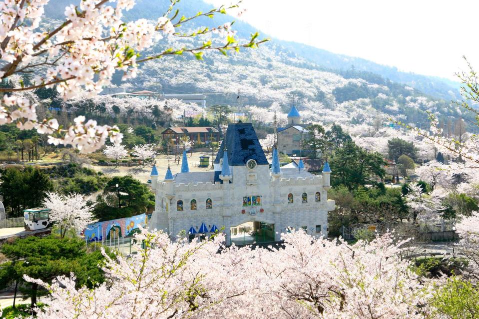 Jinhae-gu, South Korea