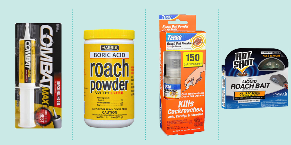 Banish the Bugs With a Top-Rated Roach Killer