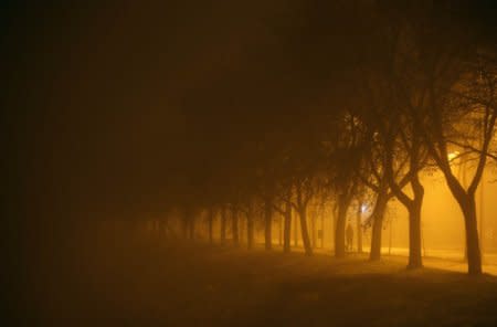 A woman walks along a street during heavy smog in the central Bosnian town of Zenica, November 19, 2014. REUTERS/Dado Ruvic