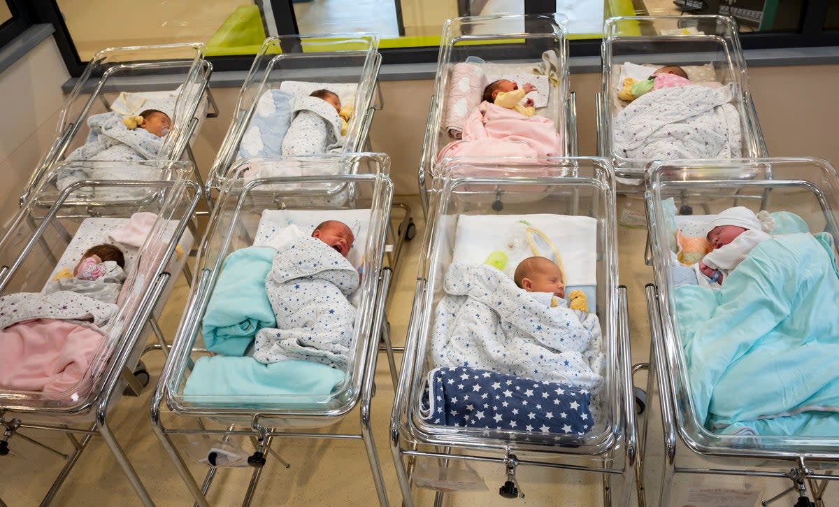 Newborn babies in a maternity ward of a hospital in Sofia, Bulgaria  (AFP via Getty Images)