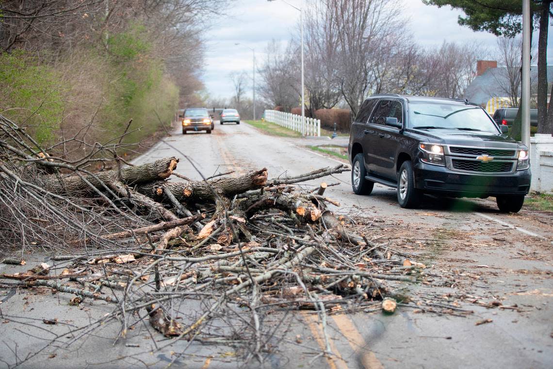Strong storms and high winds downed trees and power lines throughout Lexington on Friday.