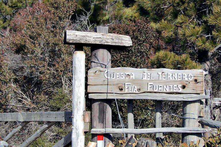 Una de las zonas más afectadas por los incendios forestales de febrero de 2021