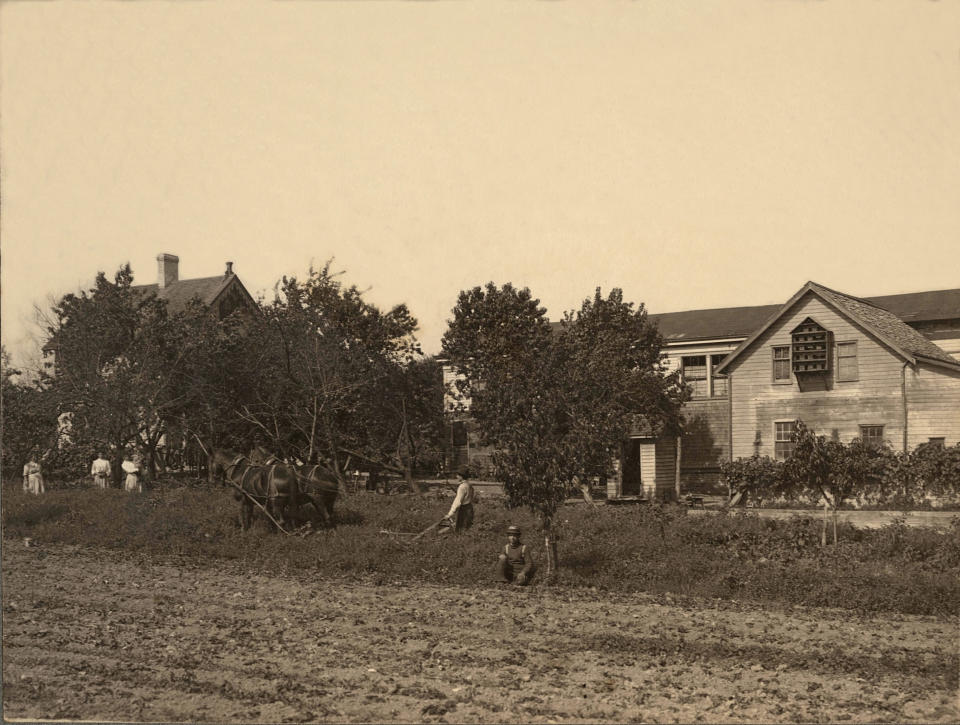 This ca.1900 vintage photo provided by the Museum of the City of New York shows the Keiber Farm in the Staten Island borough of New York. Beyond the ferry, the Verrazano-Narrows Bridge and maybe the Fresh Kills landfill, few people outside Staten Island know of its rich history as a strategic site in New York Harbor, a farming center, a recreational haven and a suburban retreat. A new exhibition aims to rectify that. “From Farm to City: Staten Island 1661-2012” opened at the Museum of the City of New York on Thursday and runs through Jan. 21. (AP Photo/Museum of the City of New York, Courtesy Westerleigh Improvement Society)