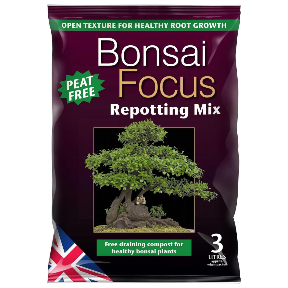 bonsai tree potting mix 