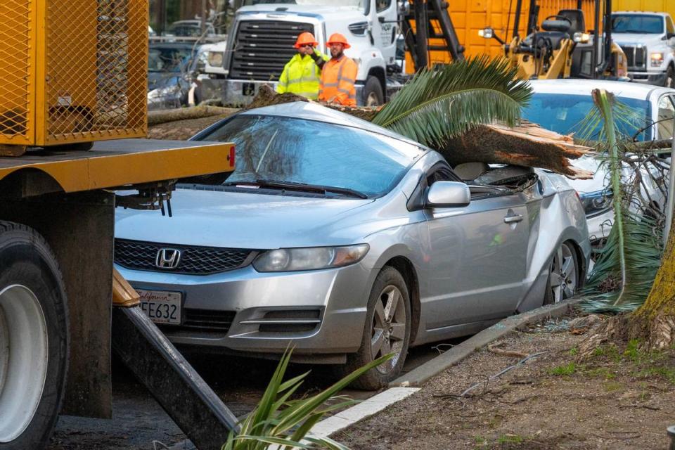 A large tree branch covers 15th Street and multiple cars between N and O streets in Sacramento on Sunday, Feb. 4, 2024, after high winds caused tree damage across the region.